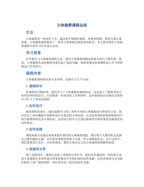 立体裁剪课程总结