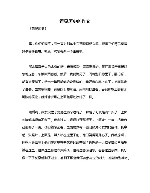 看见历史的作文