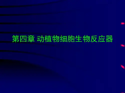 第四章 动植物细胞生物反应器