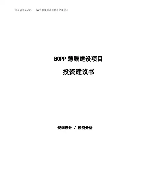 BOPP薄膜建设项目投资建议书(总投资22000万元)