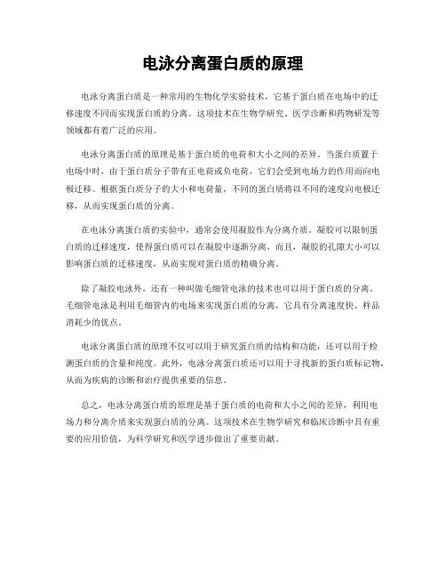 电泳分离蛋白质的原理