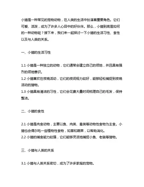仿照松鼠写一篇说明文小猫,400字