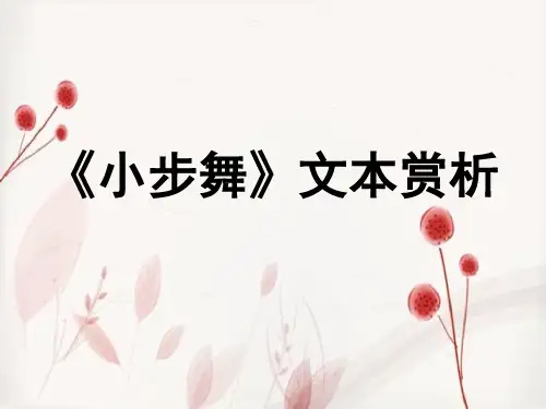 小说《小步舞》赏析