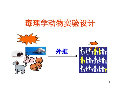 毒理学实验设计ppt课件