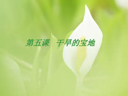 干旱的宝地PPT教学课件