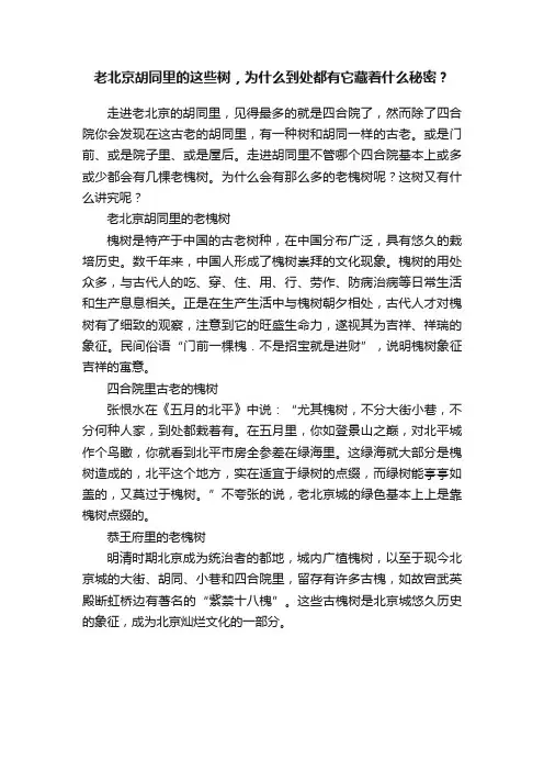 老北京胡同里的这些树，为什么到处都有它藏着什么秘密？