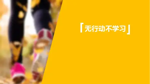 行动学习培训课件(精美)培训PPT课件