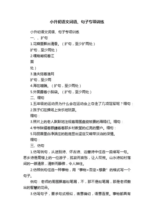小升初语文词语、句子专项训练