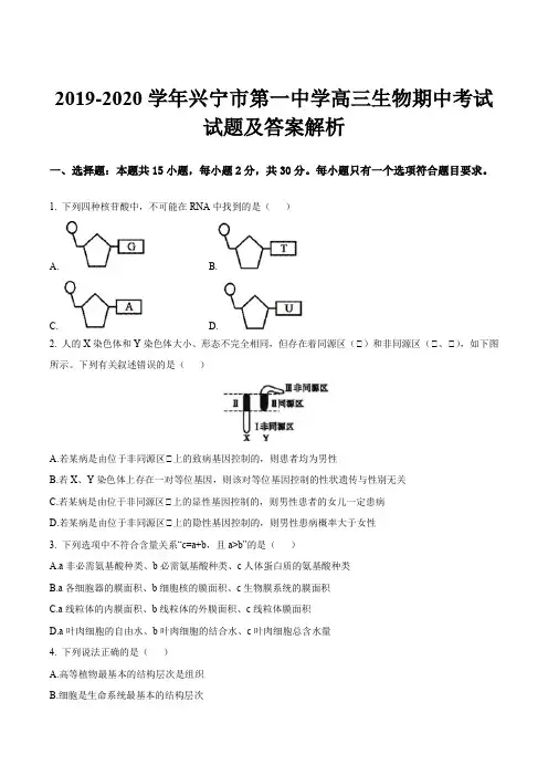 2019-2020学年兴宁市第一中学高三生物期中考试试题及答案解析