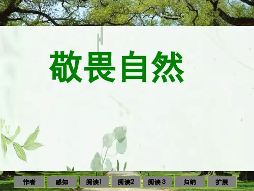 《敬畏自然》3PPT课件 图文