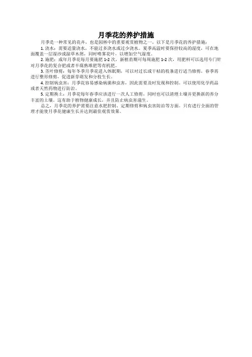 月季花的养护措施