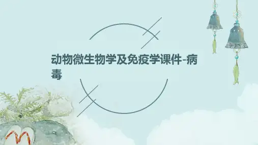 动物微生物学及免疫学课件-病毒