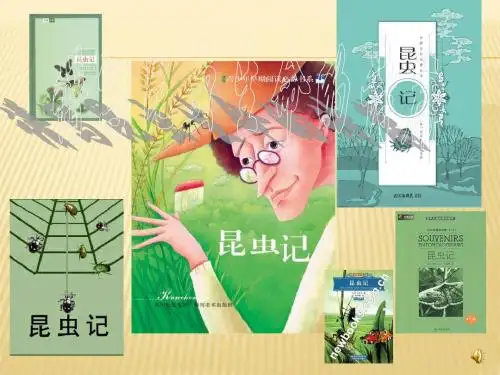《昆虫记》教学课件共35张PPT (共35张PPT)