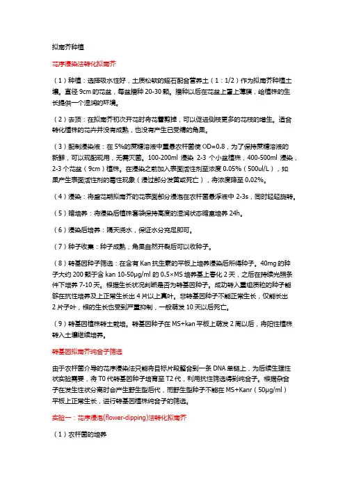 拟南芥