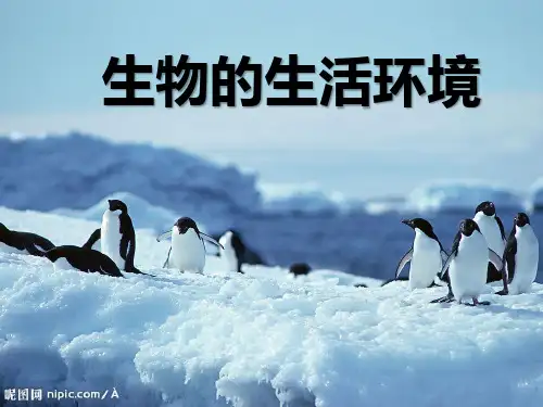 生物的生活环境