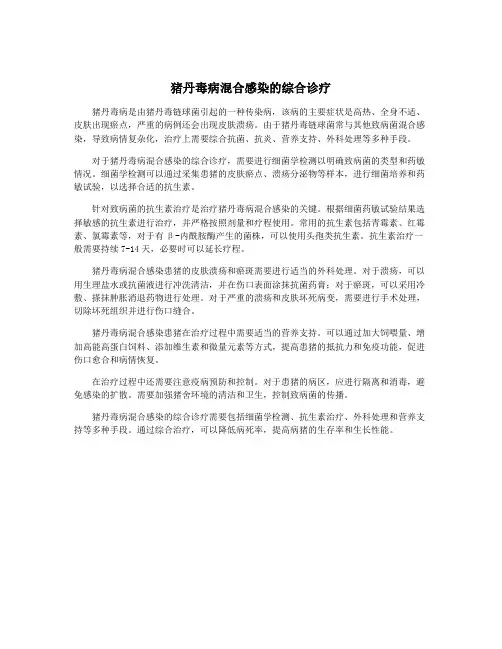 猪丹毒病混合感染的综合诊疗