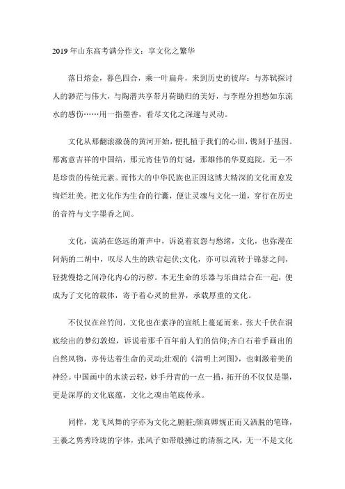 2019年山东高考满分作文：享文化之繁华