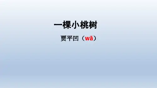 贾平凹《一棵小桃树》