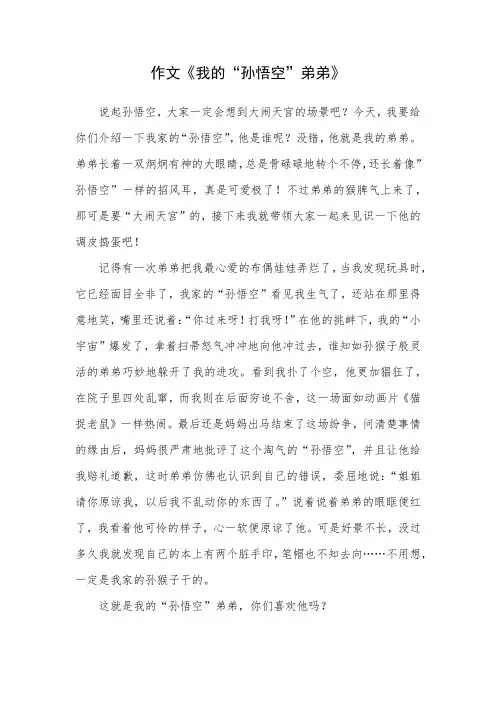 我的孙悟空弟弟作文