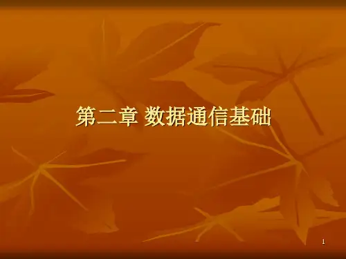 三级计算机网络       第二章 数据通信基础PPT课件