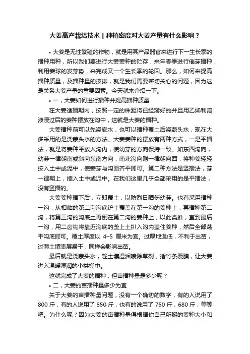 大姜高产栽培技术丨种植密度对大姜产量有什么影响？