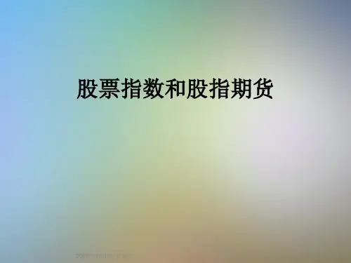股票指数和股指期货