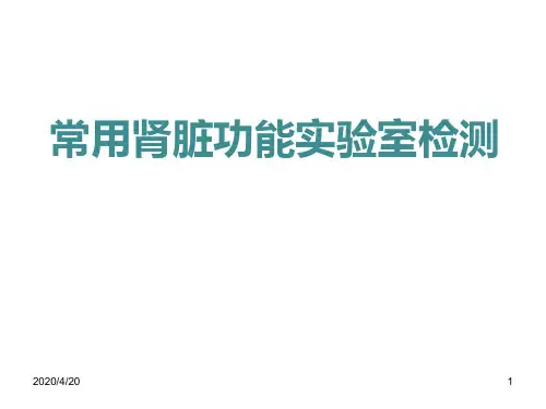 常用肾脏功能实验室检测