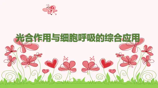 高考生物一轮复习3：光合作用与细胞呼吸的综合应用 优质课件