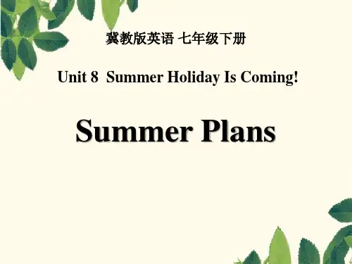 《Summer Plans》PPT课件