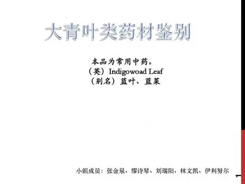 大青叶类药材鉴别