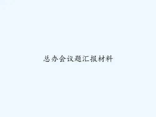 总办会议题汇报材料 PPT