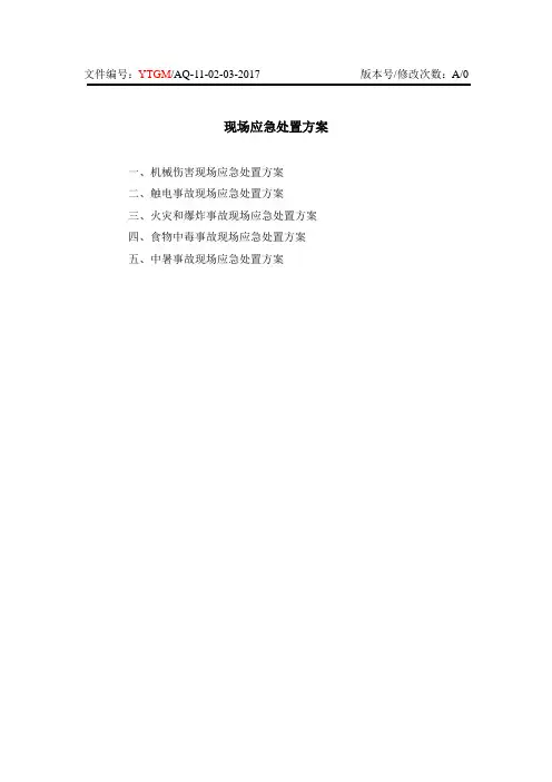 现场应急处置方案 2