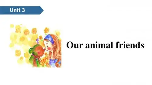 五年级上册英语课件-Unit 3 Our animal friends B∣译林版(三起) (共13张PPT)