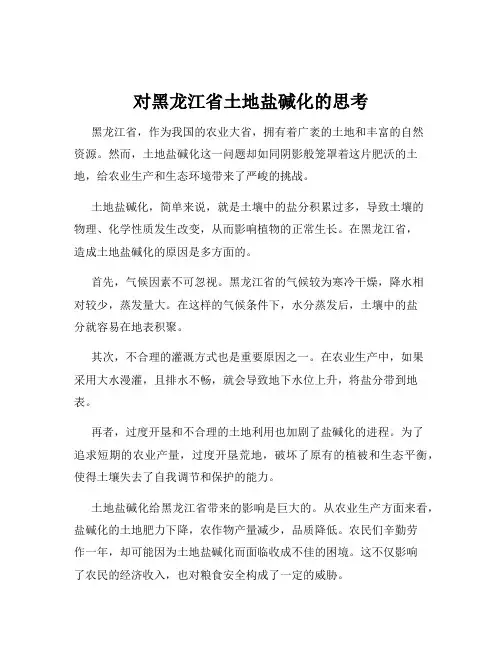 对黑龙江省土地盐碱化的思考