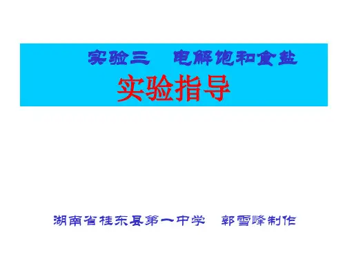 实验三  电解食盐水