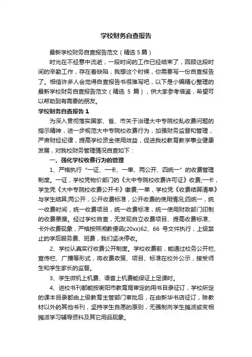 学校财务自查报告