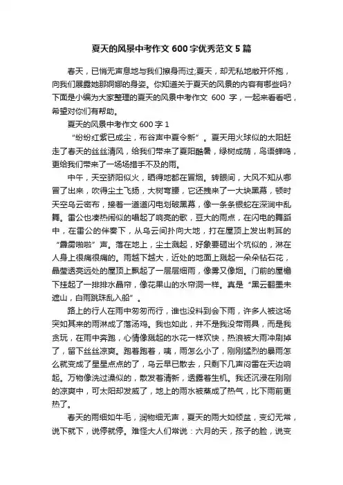夏天的风景中考作文600字优秀范文5篇