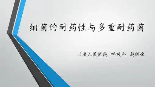 细菌的耐药性与多重耐药菌