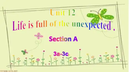 Unit12SectionA3a-3c课件  人教版英语九年级全一册