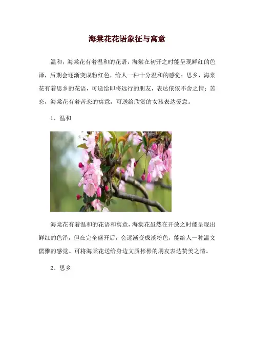 海棠花花语象征与寓意