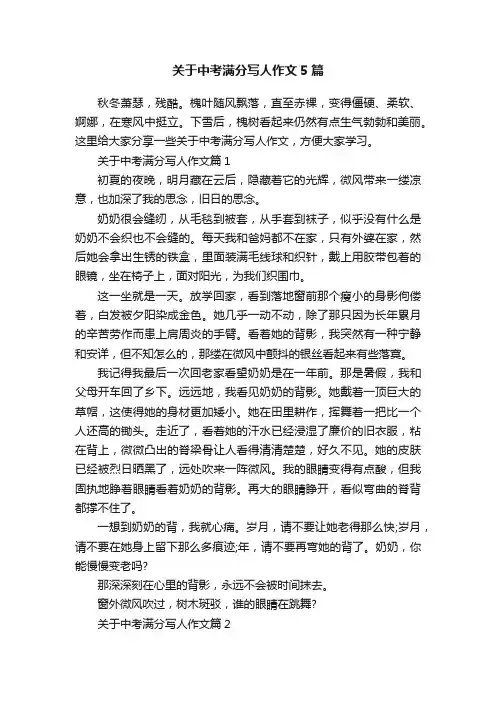 关于中考满分写人作文5篇