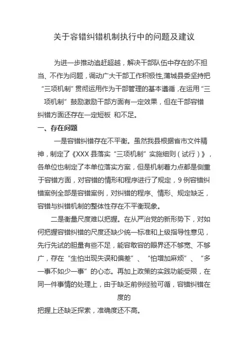 关于容错纠错机制执行中的问题及建议