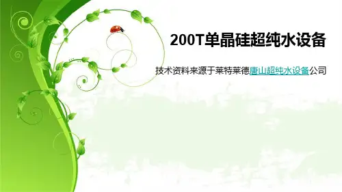 T单晶硅超纯水设备