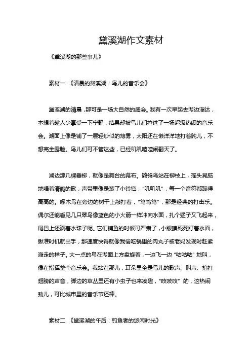 黛溪湖作文素材