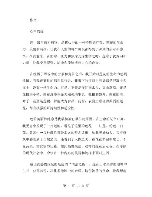 作文心中的莲范文