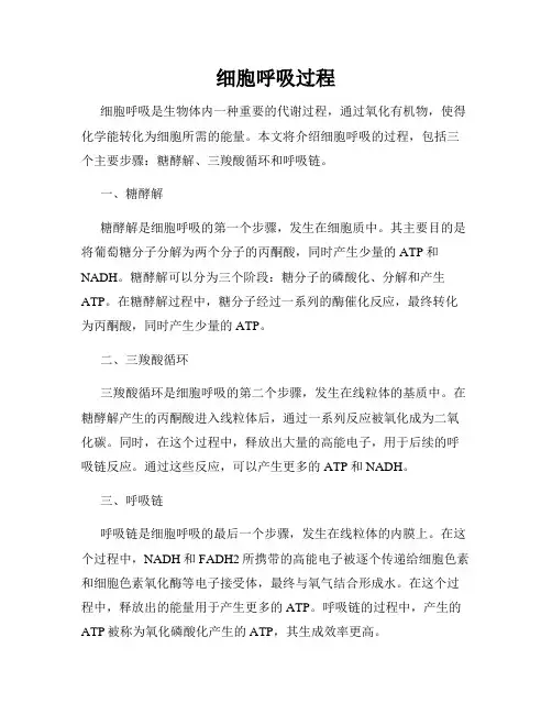 细胞呼吸过程