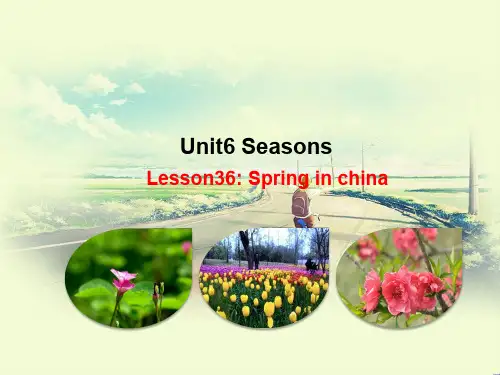 最新冀教版七年级英语下册Lesson36SpringinChina优质课件(5)