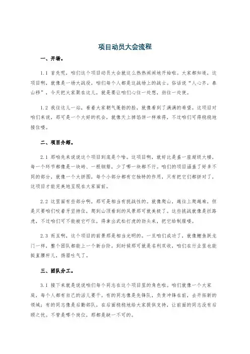 项目动员大会流程