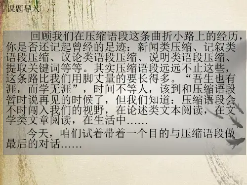 高考复习压缩语段ppt(课件+教案+练习,11份)3