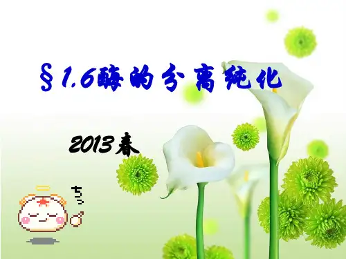 酶的分离纯化资料PPT课件